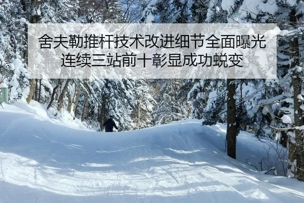 舍夫勒推杆技术改进细节全面曝光 连续三站前十彰显成功蜕变