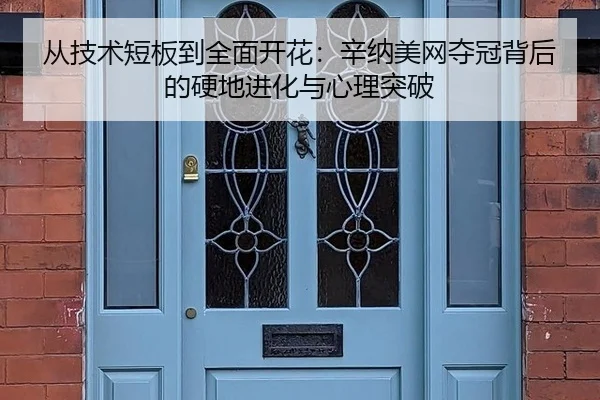 cong-ji-shu-duan-ban-dao-quan-mian-kai-hua-xin-na-mei-wang-duo-guan-bei-hou-de-ying-di-jin-hua-yu-xin-li-tu-po-2-413.jpg